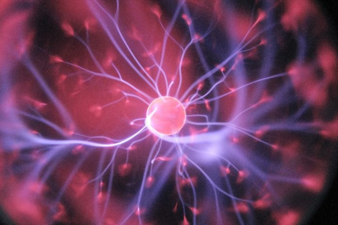 Immagine in evidenza – Cosa succede nel cervello quando ci baciamo e altre curiosità sui baci Cosa succede nel cervello quando ci baciamo e altre curiosità sui baci – Cosa succede nel cervello quando ci baciamo e altre curiosità sui baci