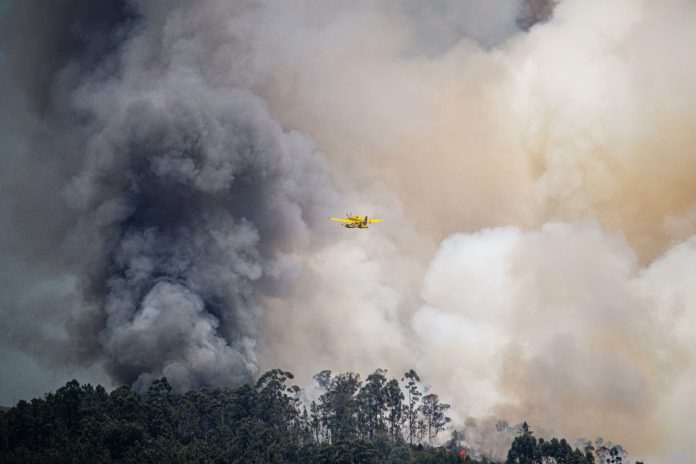Immagine in evidenza – Aerei Canadair: Eroi dei Cieli e Salvatori dalle Fiamme canadair – Aerei Canadair: Eroi dei Cieli e Salvatori dalle Fiamme
