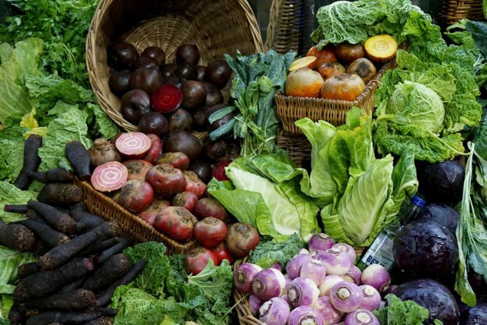 Immagine in evidenza – Come capire facilmente la differenza tra vegani e vegetariani differenza tra vegani e vegetariani – Come capire facilmente la differenza tra vegani e vegetariani