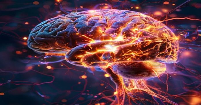 Immagine in evidenza – Come funziona la memoria