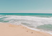 Batteri Vibrio in mare: rischi, sintomi e come proteggersi in estate batteri Vibrio mare – Batteri Vibrio in mare: rischi, sintomi e come proteggersi in estate