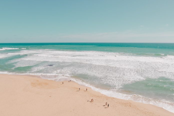 batteri Vibrio mare – Batteri Vibrio in mare: rischi, sintomi e come proteggersi in estate