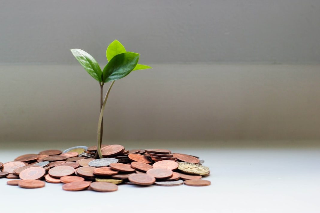 investire oro BTP criptovalute – Oro, BTP o criptovalute: dove investire i risparmi nel 2026